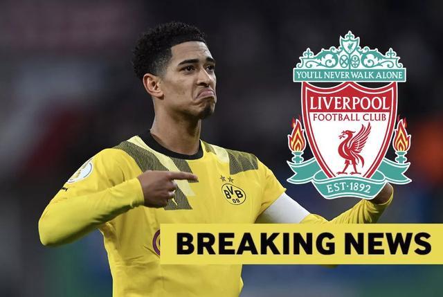 净零排放赌场数量2025年翻倍